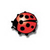 Ladybug se présente 3159685043